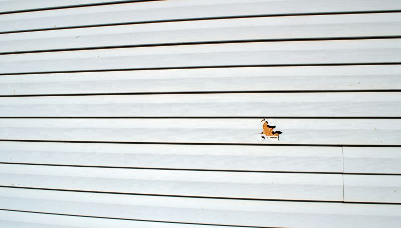 Final Touch-Up on Vinyl Siding